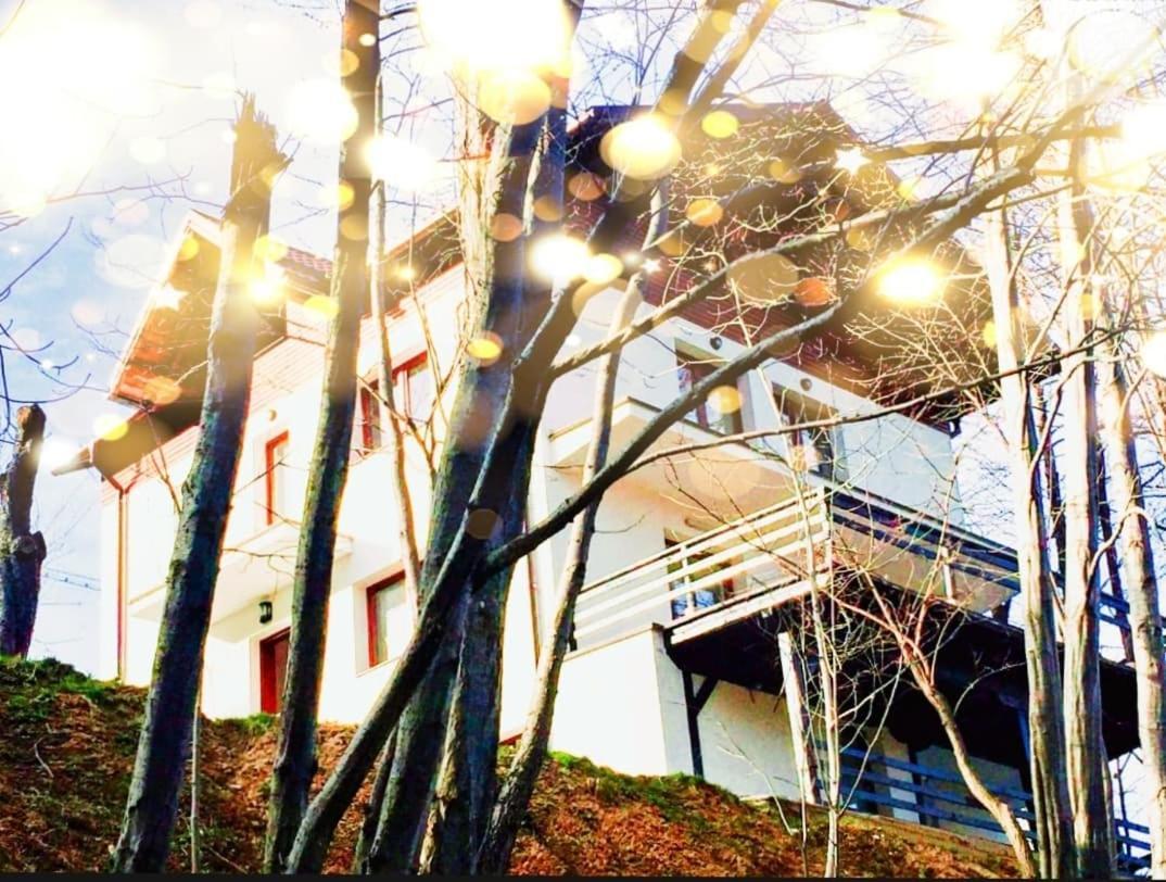 4Temporadas Villa Bran  Buitenkant foto
