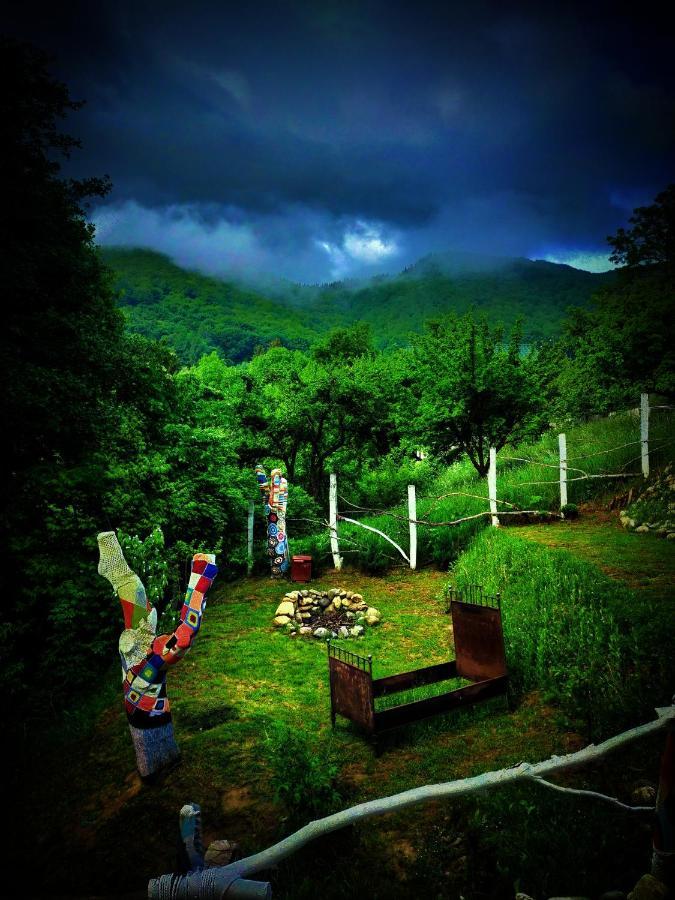4Temporadas Villa Bran  Buitenkant foto