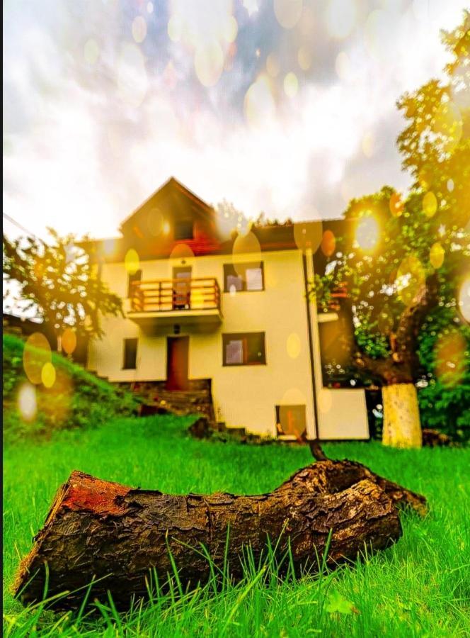4Temporadas Villa Bran  Buitenkant foto